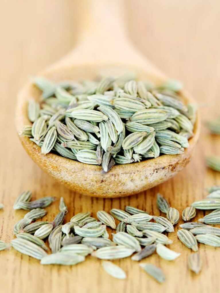 Mothers SPPL's Fennel seeds